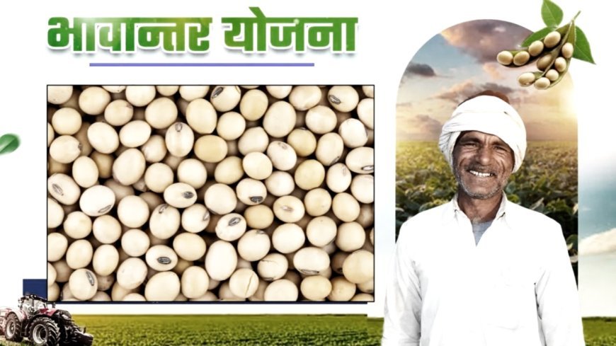 भावांतर योजनांतर्गत 27 हजार 63 किसानों से 47 हजार 493 टन सोयाबीन की खरीदी