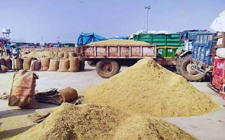 मंडी शुल्क की चोरी करने वाले के विरुद्ध कड़ी कार्रवाई के निर्देश