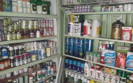 01 विक्रेता का लाइसेंस निलंबित, 05 के विरूद्ध की गई निलंबन एवं प्रतिबंध की कार्रवाई