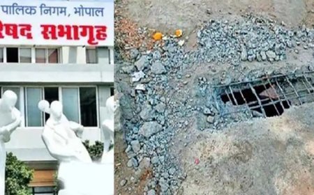 Bhopal Municipal Scam: 240 मीटर नाले को ढंकने में लगाया 13 लाख रुपये का 16 हजार किलो लोहा