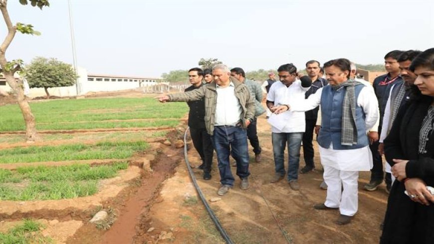 उप मुख्यमंत्री ने बसामन मामा में किसान एवं सहकारिता सम्मेलन की तैयारियों का लिया जायजा