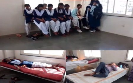 मध्य प्रदेश के मंडला में हाईस्कूल पर मधुमक्खियों का हमला, 15 बच्चे और स्टाफ घायल