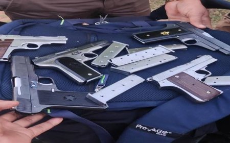 मध्यप्रदेश पुलिस की अवैध हथियारों के विरुद्ध प्रभावी कार्यवाही