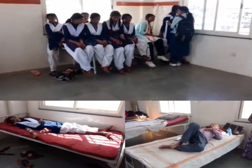 मध्य प्रदेश के मंडला में हाईस्कूल पर मधुमक्खियों का हमला, 15 बच्चे और स्टाफ घायल